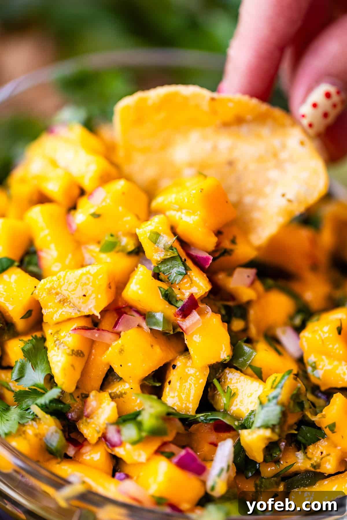 Zesty Mango Salsa Recipe with Lime and Cilantro 4 A close-up of mango salsa with diced mango, red onion, cilantro, and a hand holding a tortilla chip ready to scoop some.