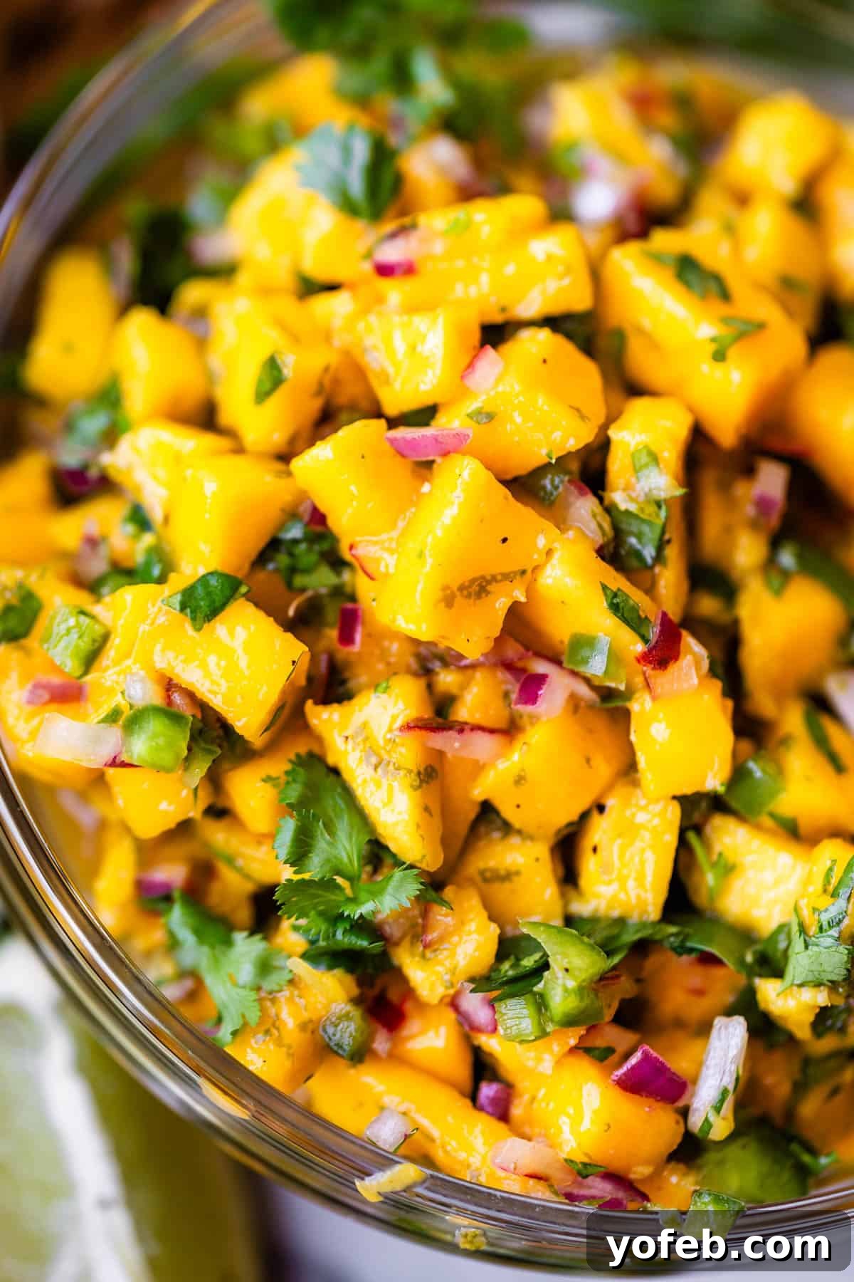 Zesty Mango Salsa Recipe with Lime and Cilantro 5 A close-up of a bowl filled with vibrant mango salsa, featuring diced mango, red onion, cilantro, and green peppers, with a lime wedge partially visible in the corner.