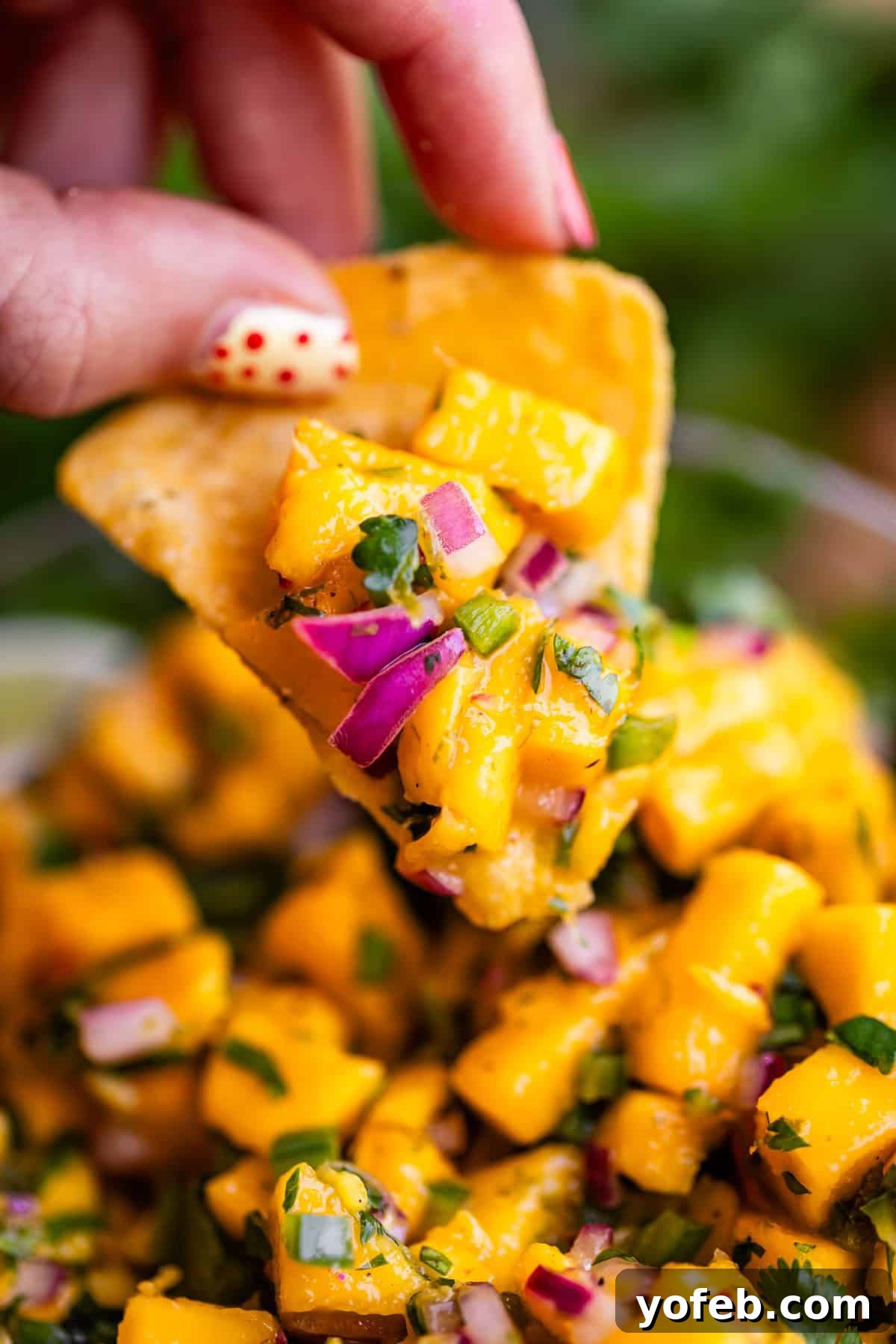 Zesty Mango Salsa Recipe with Lime and Cilantro 6 A hand with polka dot nail art holds a tortilla chip topped with fresh mango salsa, featuring diced mango, red onion, cilantro, and green peppers.