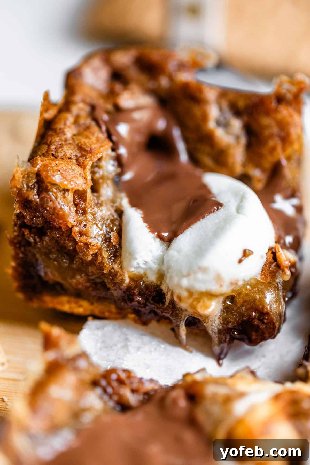 A close-up of a gooey smores bar, showing melted chocolate, toasted marshmallow, and a crumbly graham cracker crust.