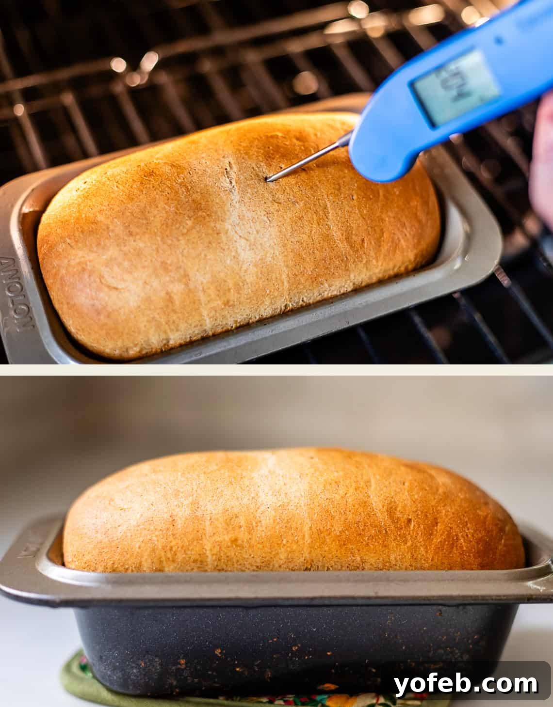Soft Honey Whole Wheat Bread Recipe 12 Top: A thermometer checks the temperature of a loaf of bread in a pan in the oven. Bottom: The finished golden loaf rests in the same pan outside the oven.