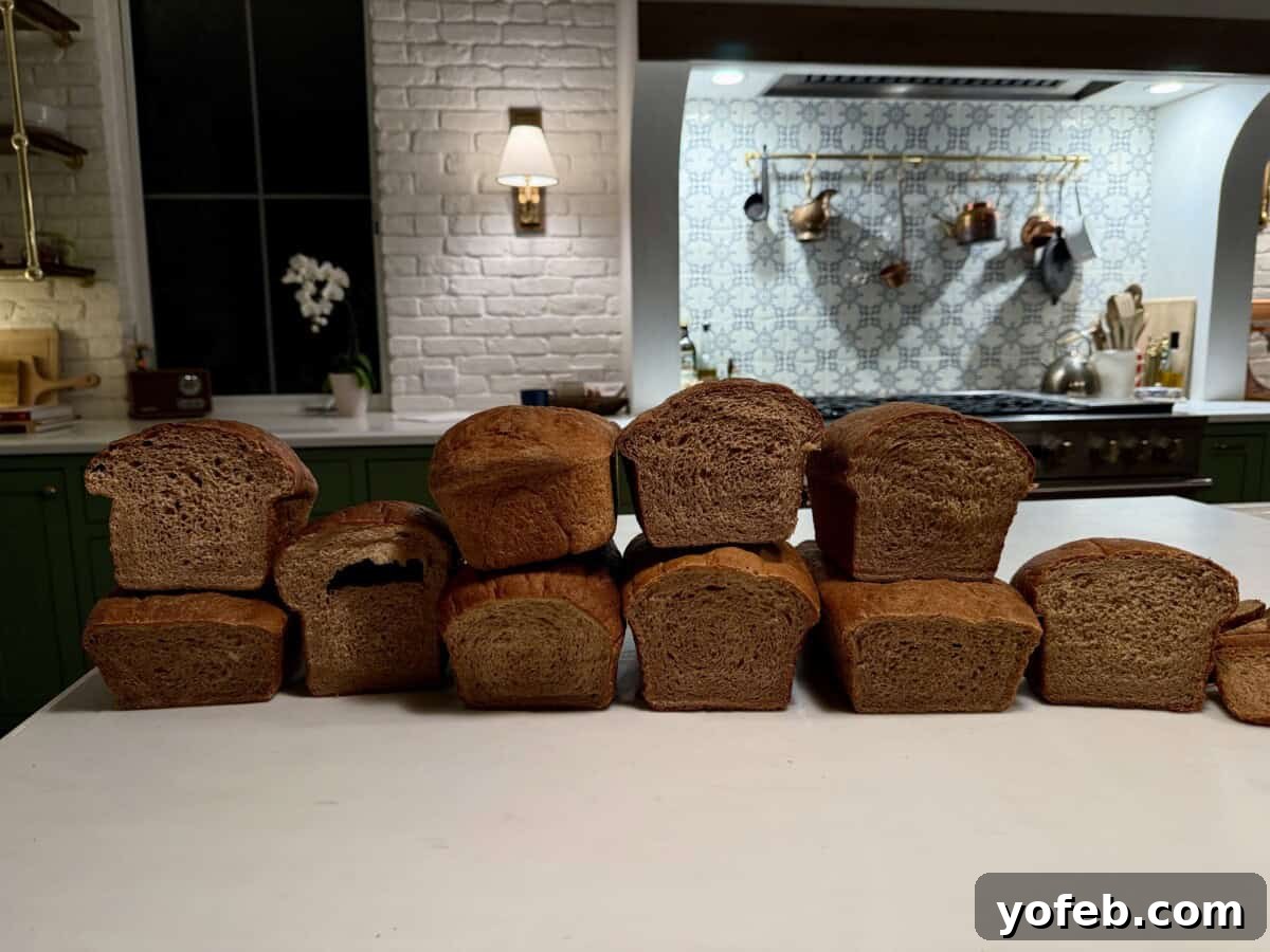 Soft Honey Whole Wheat Bread Recipe 5 Ten loaves of wheat bread are lined up on a kitchen counter, with a modern kitchen featuring white and green cabinets, a tiled backsplash, and hanging pots in the background.