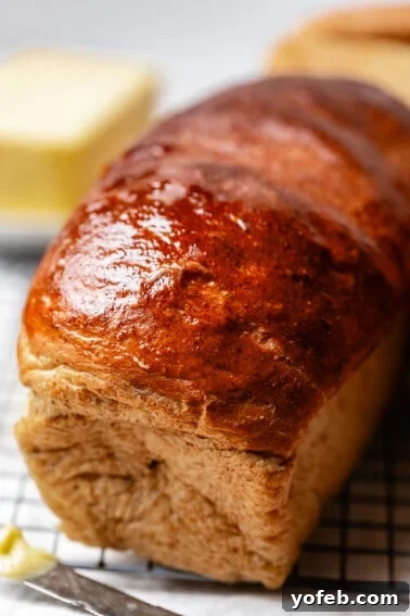 Soft Honey Whole Wheat Bread Recipe 18 rye bread with butter on top.