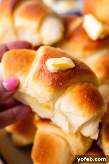Soft Honey Whole Wheat Bread Recipe 19 A close-up of a hand holding a golden brown, fluffy dinner roll topped with a pat of melting butter