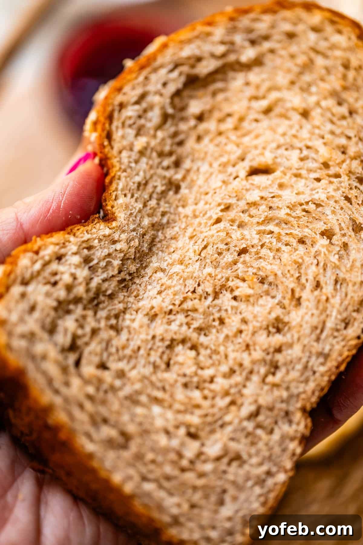 Soft Honey Whole Wheat Bread Recipe 9 A close-up of a hand holding a slice of whole wheat bread, showing the soft, textured interior.